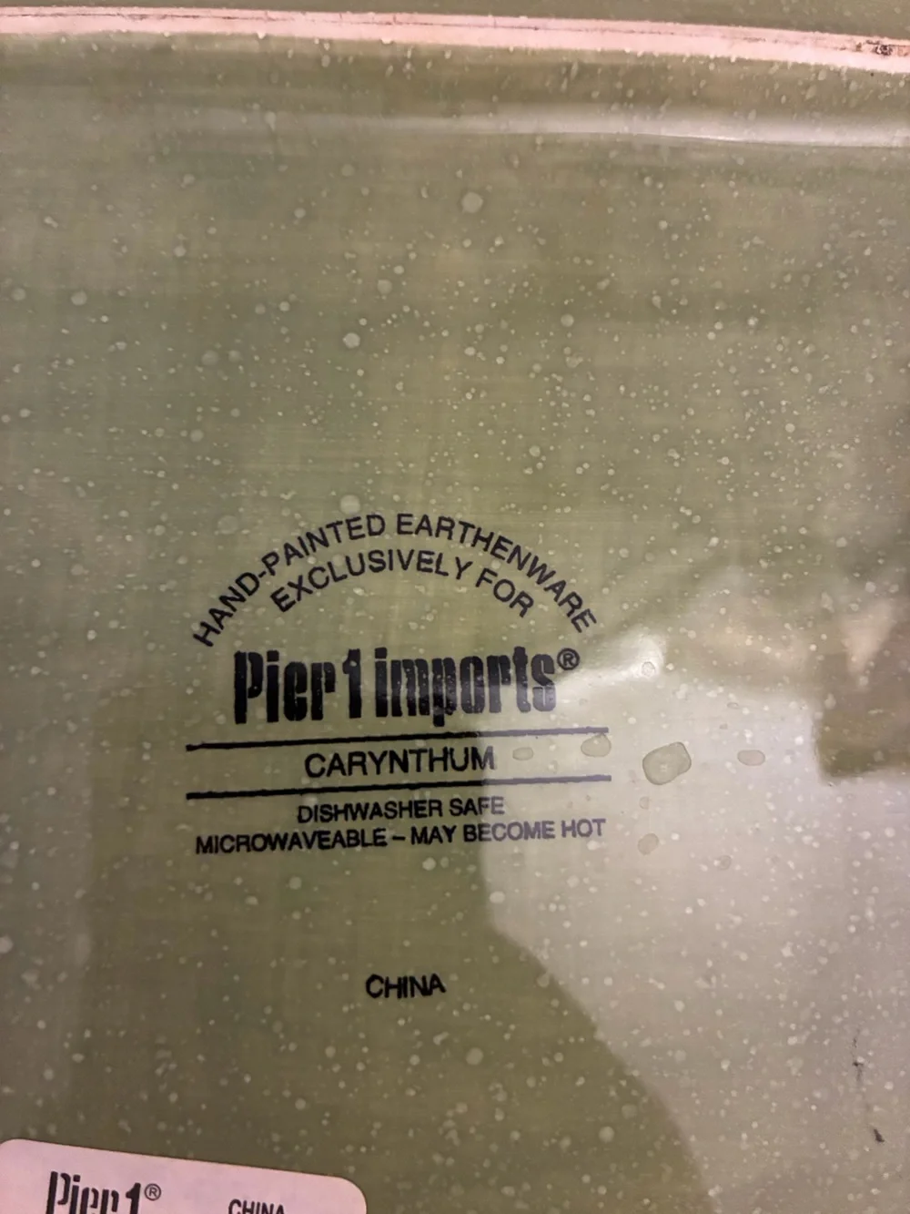 Pier 1 Imports Carynthum Square Dinner Plate 10.75
